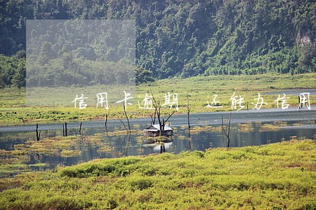 信用卡逾期 还能办信用卡吗 信用卡逾期 还能办信用卡吗